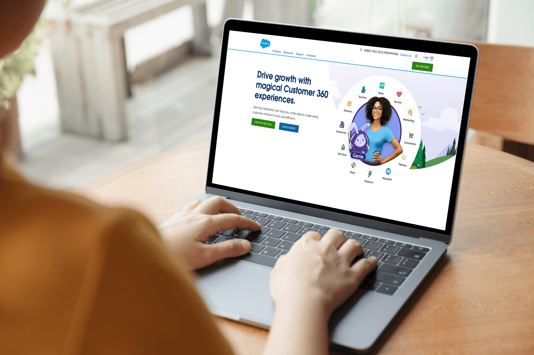 Salesforce interface