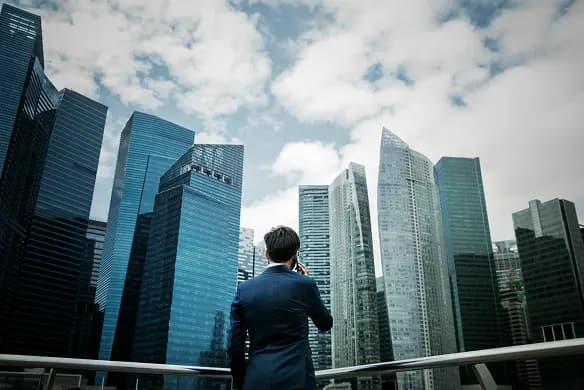Private Equity Portfolio Companies