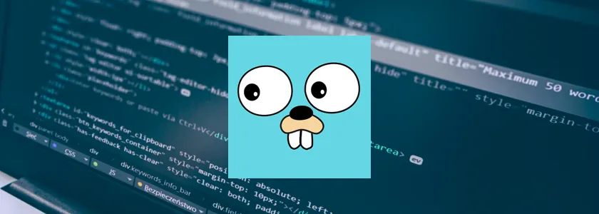 Why ROR Applications Should Consider Adding GoLang to Their Stack?