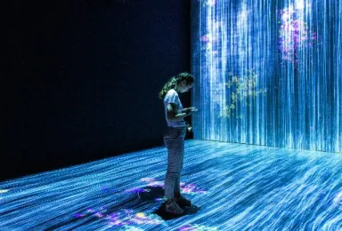 Claims Management Automation